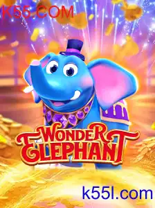 WonderElephant